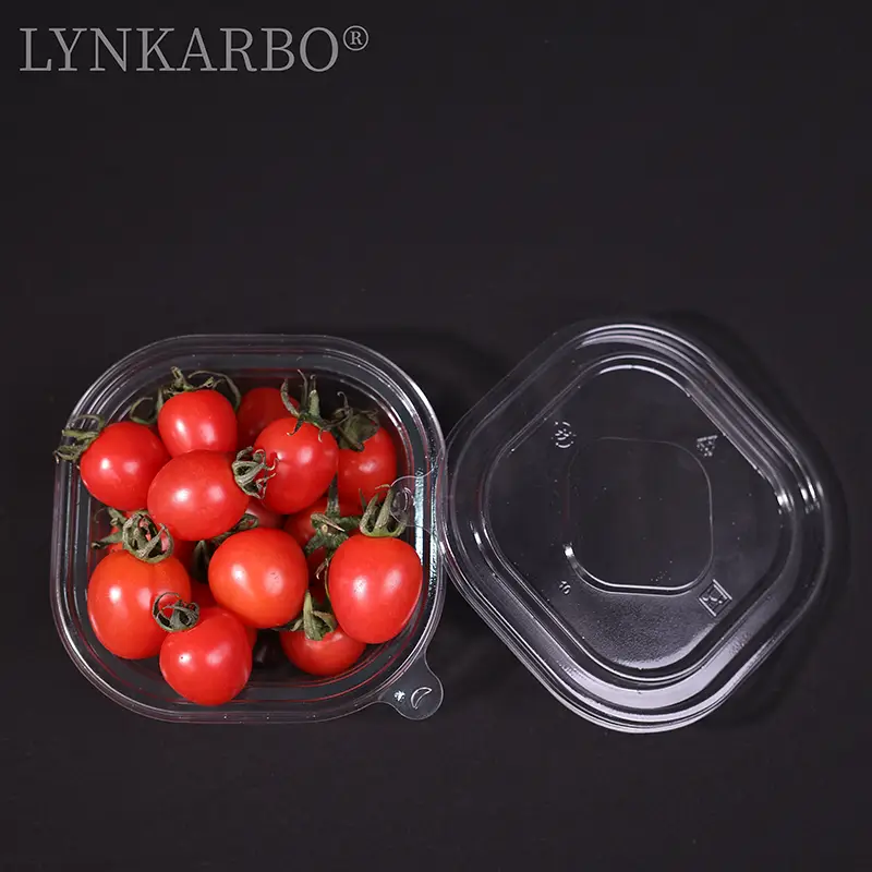 Pla Square Cold Food Container