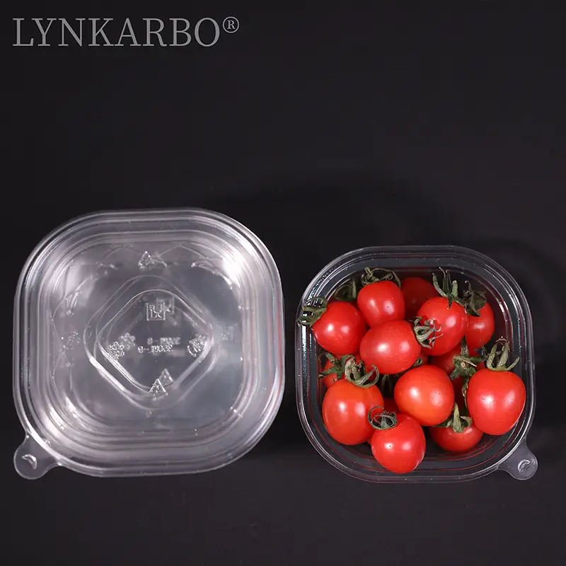 Pla Square Cold Food Container